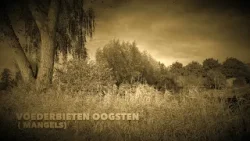 2026 02 23 Hoe het vroeger ging afl 02 Voederbieten oogsten Gemert door Andre van Bussel 2026 02 23 Hoe het vroeger ging afl 02 Voederbieten oogsten Gemert door Andre van Bussel