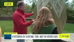 Sneak Peak: Patterns in Nature