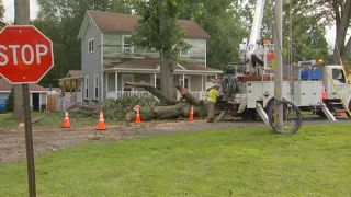 Storm damage left behind in parts of Western New York