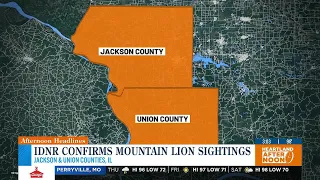 IDNR confirms mountain lion sightings in Jackson, Union Counties
