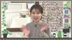 Oh！Cha 15（お茶行こう） 2月25日(水曜日)【ショップチャンネル】