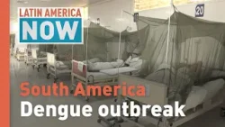 Latin America Now: Dengue fever in South America