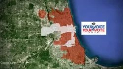 13 Democrats vying for retiring Rep. Danny Davis' Illinois 7th Congressional District seat