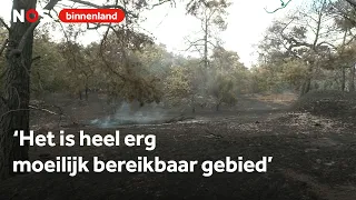 This is what the nature reserve near Venray looks like after the fire