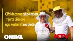 Çifti deçanas që po nxjerr mjaltë cilësore nga kosheret me bletë