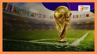 World cup Barn [ part 5 ]