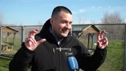 U Prihvatilištu za pse u Novom Sadu 250 kuca čeka svoj novi početak U Prihvatilištu za pse u Novom Sadu 250 kuca čeka svoj novi početak