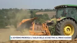 IL GOVERNO PROROGA IL TAGLIO DELLE ACCISE FINO AL PRIMO MAGGIO