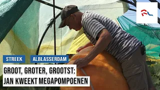A 200-kilo pumpkin? Jan doesn't bat an eyelid.