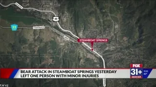 CPW investigating bear attack in Steamboat Springs, 8th this year