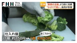 野菜の王様「小ぶりで高い」ブロッコリー“3倍”に高騰　記録的な長雨が影響　畑一部が水浸し、収穫量3割減の農家も（2026年10月22日）
