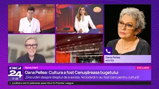 Vlad Zamfirescu, Oana Pellea, and Andrei Șerban: "Culture has been the Cinderella of the budget"