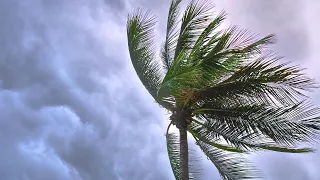 Rain and nine tropical storms in the Pacific mark the weather forecast in Nicaragua