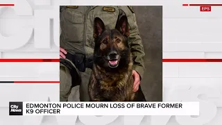 Edmonton Police mourn loss of brave former K9 officer