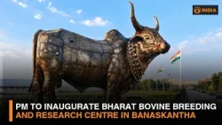 PM to inaugurate Bharat Bovine Breeding and Research Centre in Banaskantha