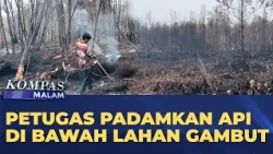 Palangka Raya Wildfire Task Force Extinguishes Underground Peat Fires | KOMPAS MALAM