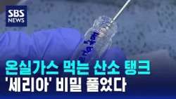 온실가스 먹는 산소 탱크…'세리아' 밝혀진 비밀은? / SBS