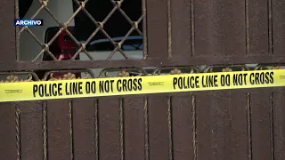 New details revealed on how the murder of Zeneida Castillo was carried out