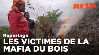 Madagascar : terre de feu | ARTE Reportage (2022)