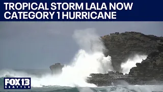 Tropical Storm Lala now a Category 1 hurricane | FOX 13 Seattle