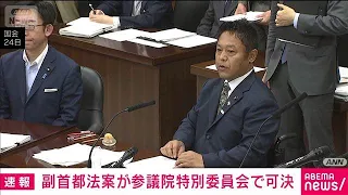 "Vice-Capital" Related Bill Passes Upper House Special Committee, Heads to Plenary Session for Vo...