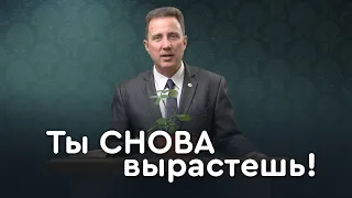 Why Be Rooted in Truth | The Bible in Detail with Andrey Kachalaba