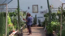 Сбои в международных морских перевозках приводят к увеличению затрат на удобрения и почву для пит...