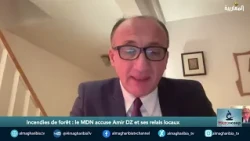 Lyes Djbayli : « Ce récit a ses limites en matière de crédibilité »