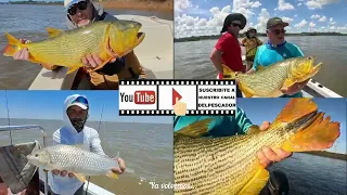 Pescador TV - Sport Fishing