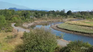 B.C. earmarks $500K for Vancouver Island’s largest estuary restoration project