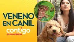 DOG COULD HAVE DIED: Poison thrown in Las Condes dog parks - Contigo en la Mañana