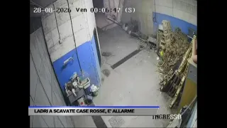 LADRI A SCAVATE CASE ROSSE, E’ ALLARME - SERVIZIO TG DEL 29/08/2026