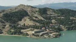 За две недели в заливе Сан-Франциско были обнаружены мертвыми 4 серых кита.