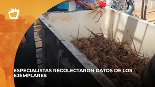 Biological sampling sessions held in Corn Island