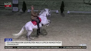 Hatalmas sikerrel zárult a szilvásváradi Lipicai Lovasgála - HírTV