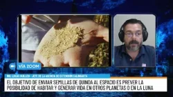 De Calingasta al espacio: semillas de quinoa serán enviadas en una misión de SpaceX