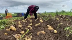 Top News - Krifca në SPAK për IPARD-in. Ish ministrja merret në pyetje për disa orë nga Braho