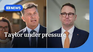 Opposition leader pulls frontbencher into line over migration comments | ABC NEWS