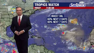 Invest 99L gains strength