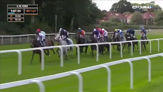 Plage De Havre 🏇 ridden by jockey P. J. McDonald.. wins the fifth race at the York Ebor Festival