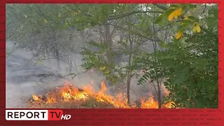 Rëndohet situata në Lundre të Matit, era dhe thatësira favorizojnë përhapjen e zjarrit