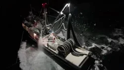 Renewed calls for Moratorium as DFO approves more than 2,000 tons of herring harvest