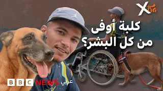 كيف ساعدت كلبة رجلاً مصاباً بالشلل على مواجهة الحياة؟