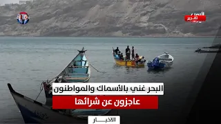Aden | The Sea is Rich with Fish, Yet Citizens Can't Afford to Buy It