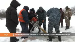 Су айдындарының аэрациясы: балық қысқы кезеңде қалай сақталады