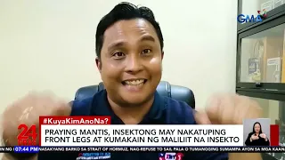 Tila tumubo sa estante, mukhang halaman pero hindi? | 24 Oras