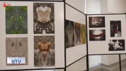 Bez komentára: Galéria HOS hostí výstavu AMFO 2026