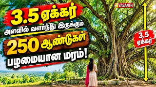 O Positive இரத்த வகையை சேர்ந்தவர்களை கொசு அதிகமாக கடிப்பது ஏன் ? | Therinthu Kolvom | Vasanth TV