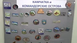 Миниатюрные шедевры природы: в Артёме открылась выставка коллекции значков «Заповедные тропы России»