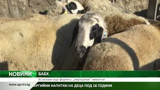 БАБХ: Установи още ферми с „виртуални“ животни